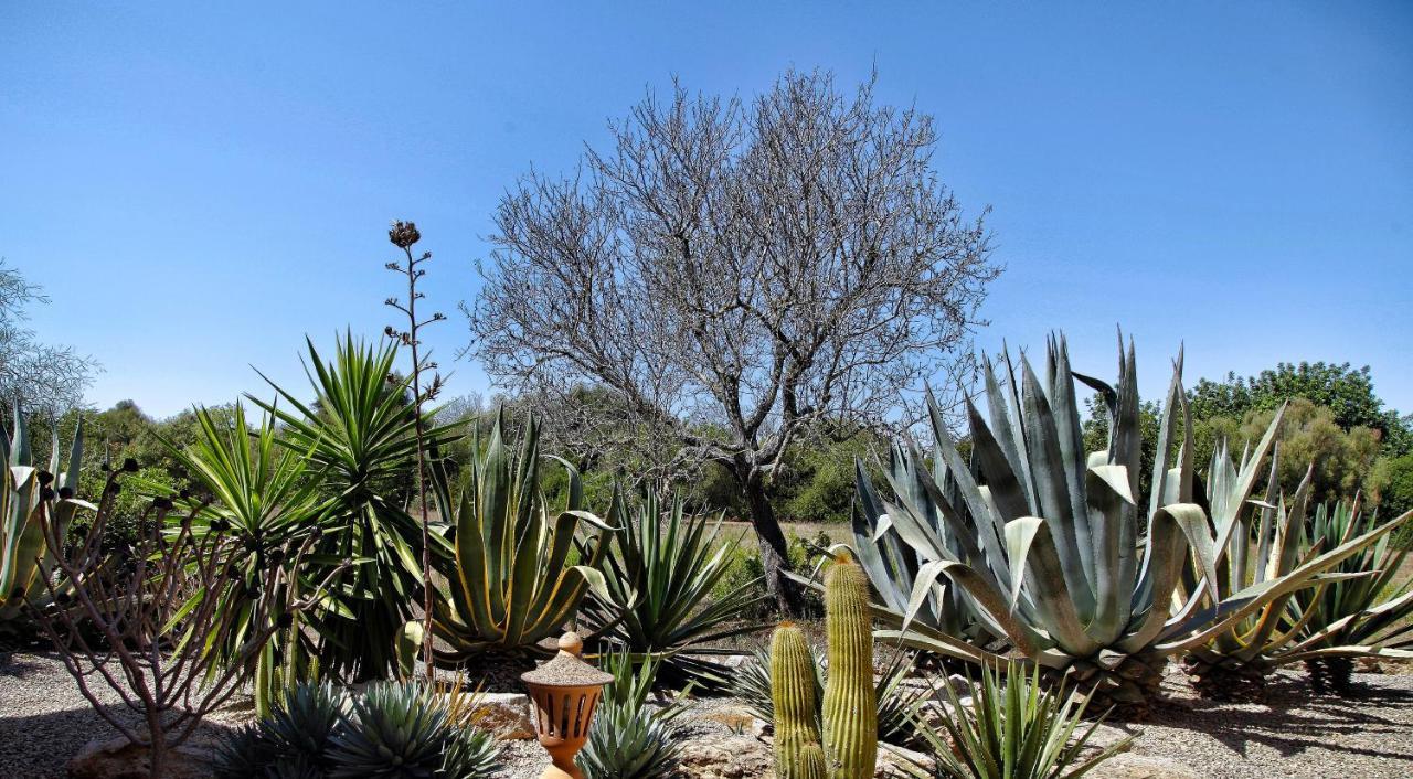 סנטני Finca Casa Mas מראה חיצוני תמונה