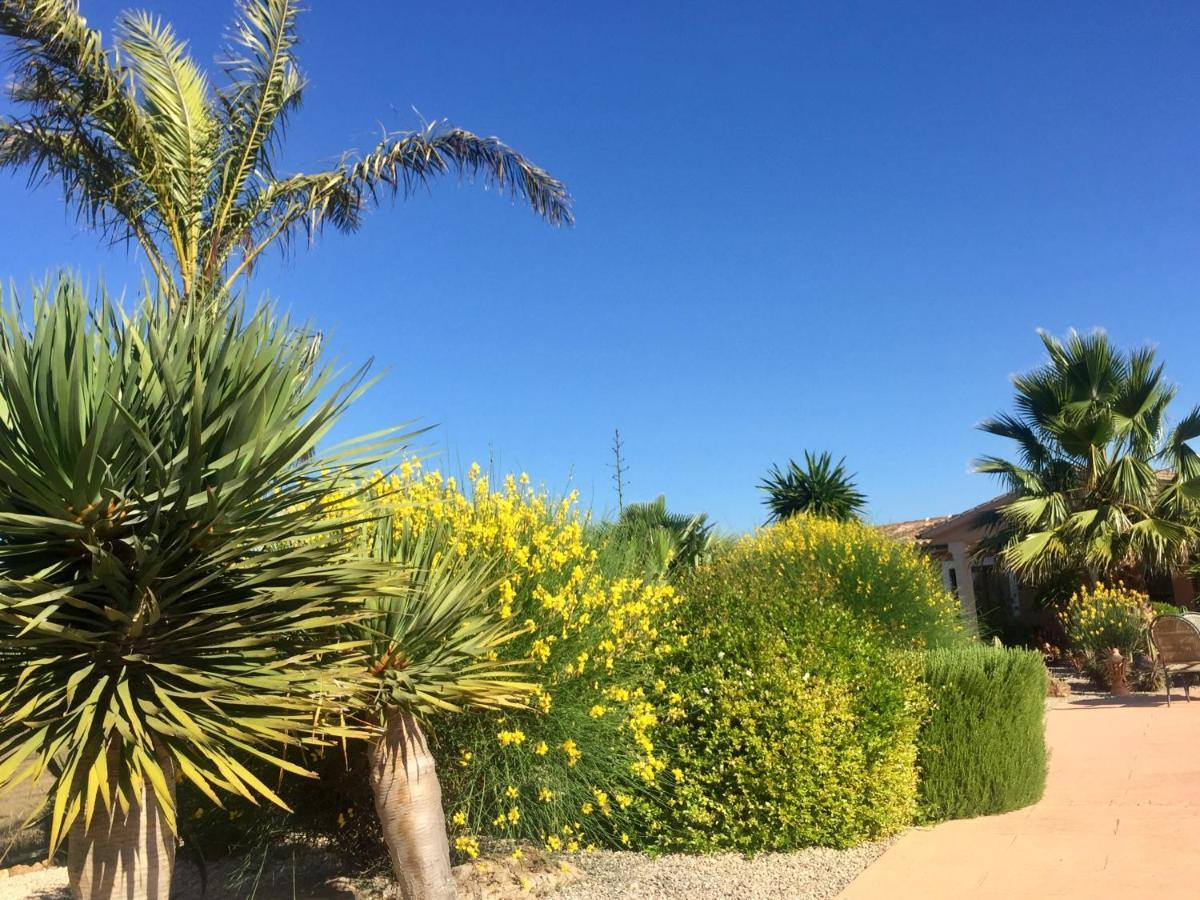 סנטני Finca Casa Mas מראה חיצוני תמונה