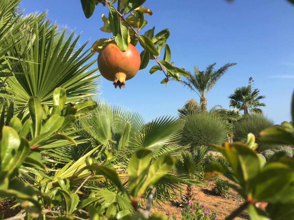 סנטני Finca Casa Mas מראה חיצוני תמונה